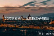 兄弟换麦子4，兄弟换麦子4星辰