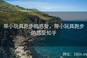 带小玩具跑步的感受，带小玩具跑步的感受知乎