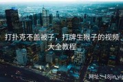 打扑克不盖被子，打牌生猴子的视频大全教程
