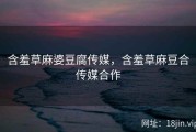 含羞草麻婆豆腐传媒，含羞草麻豆合传媒合作