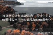 91官网设计与运营融合：探讨企业如何通过数字平台实现品牌价值最大化