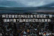 麻豆官媒官方网站全新专题报道：新媒体环境下品牌如何实现自我革新