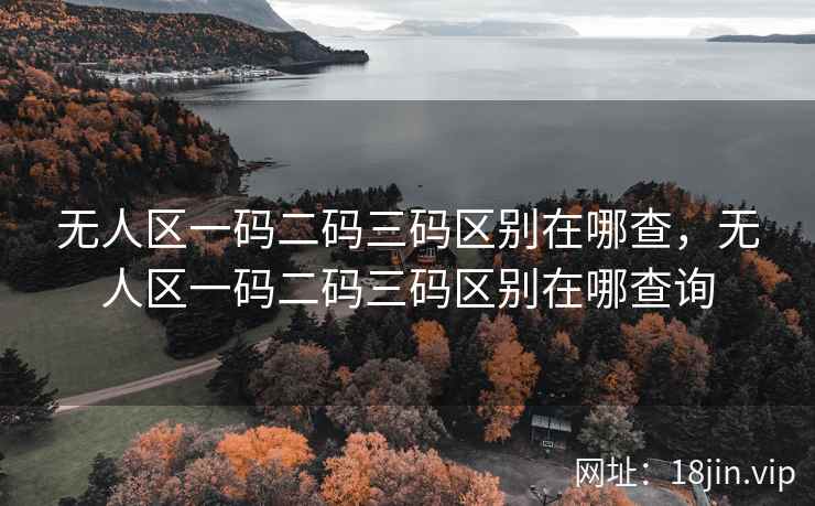 无人区一码二码三码区别在哪查，无人区一码二码三码区别在哪查询