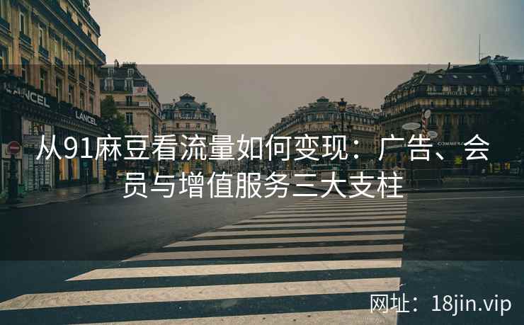 从91麻豆看流量如何变现：广告、会员与增值服务三大支柱