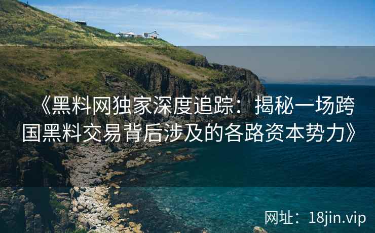 《黑料网独家深度追踪：揭秘一场跨国黑料交易背后涉及的各路资本势力》