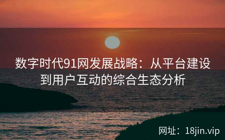 数字时代91网发展战略：从平台建设到用户互动的综合生态分析