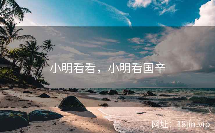 小明看看，小明看国辛